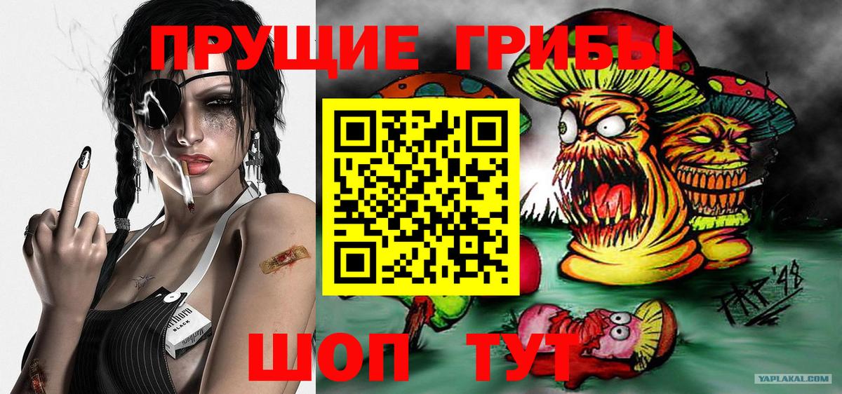 А ПВП СОЛЬ   Вход с VPN  MDMA  Меф   АМФ   Меф МЯУ МЯУ  Гашиш  Марихуана  Наркошоп  Горячий Ключ  Cocaine  Codein 